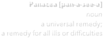 Panacea [pan-a-see-a]
noun
a universal remedy;  a remedy for all ills or difficulties